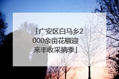 广安区白马乡2000余亩花椒迎来丰收采摘季